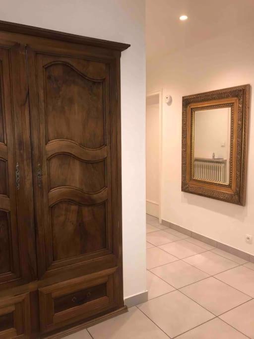 Appartement Des 3 Pays. 2 Mn De Bale+ Free Parking Saint-Louis  Extérieur photo