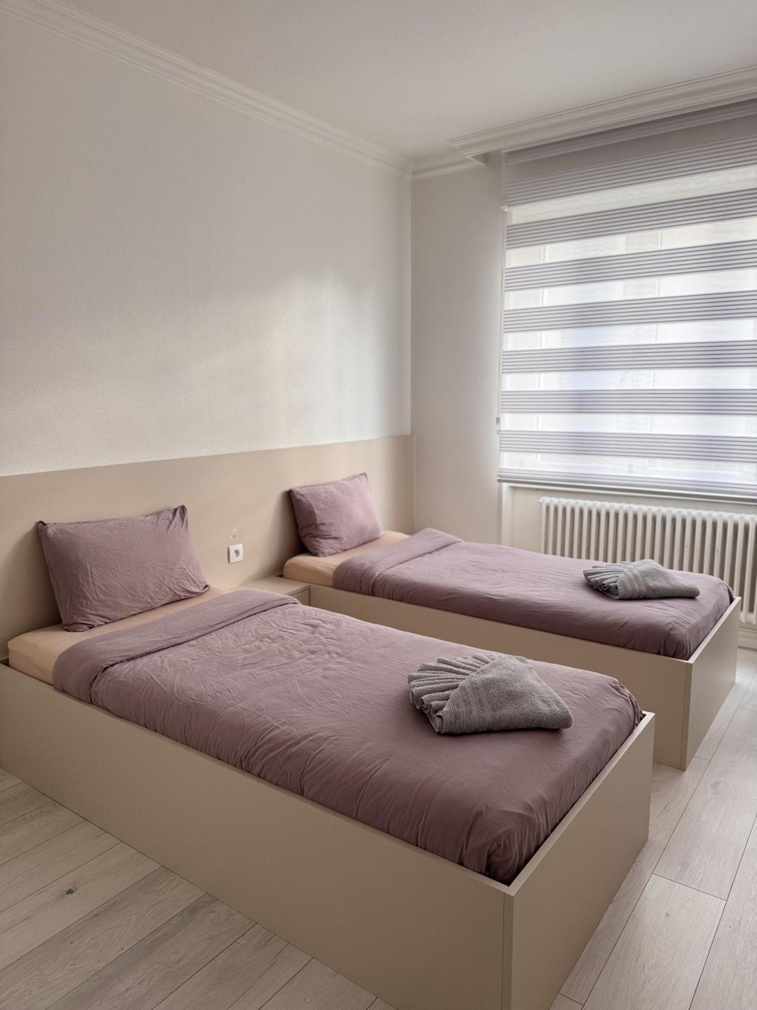 Appartement Des 3 Pays. 2 Mn De Bale+ Free Parking Saint-Louis  Extérieur photo