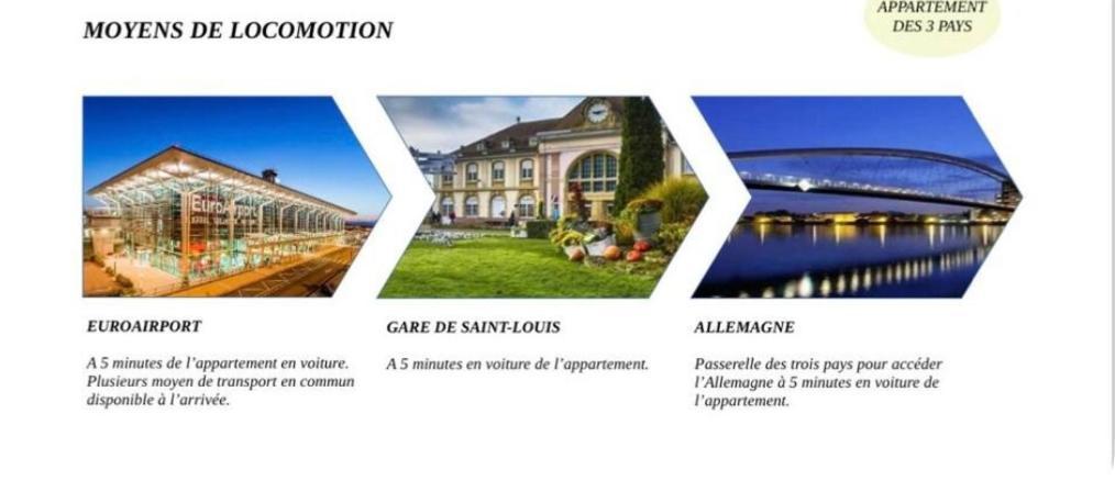 Appartement Des 3 Pays. 2 Mn De Bale+ Free Parking Saint-Louis  Extérieur photo