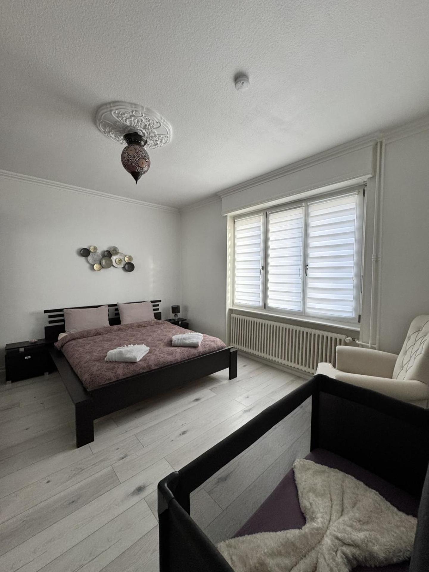 Appartement Des 3 Pays. 2 Mn De Bale+ Free Parking Saint-Louis  Extérieur photo