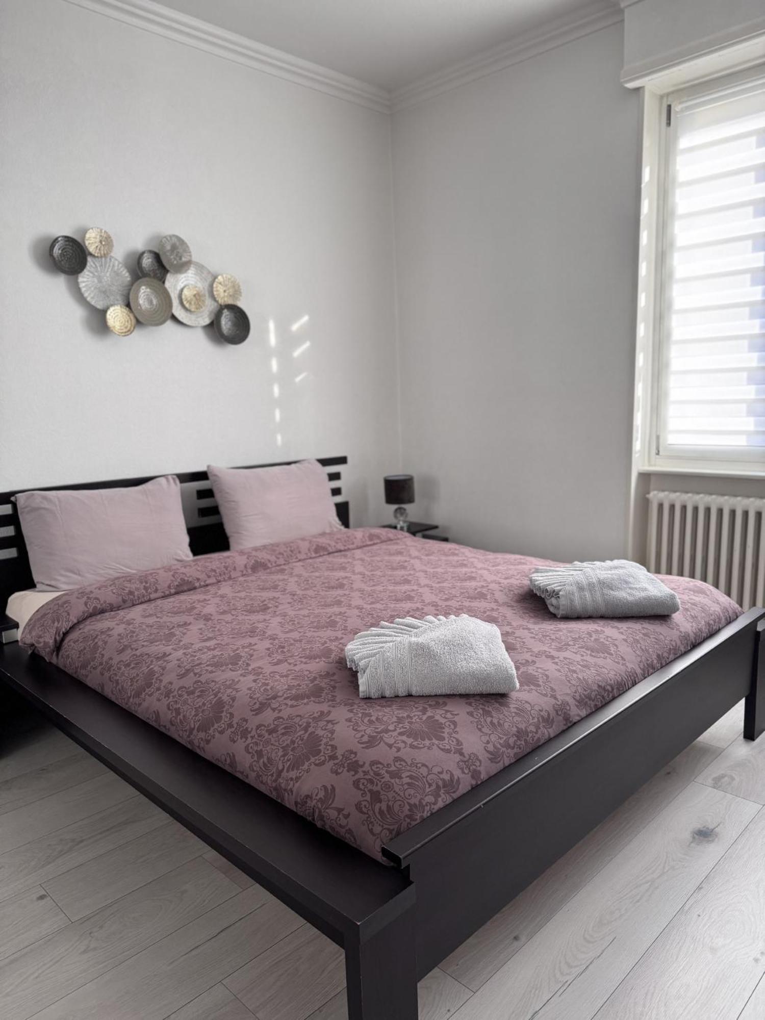 Appartement Des 3 Pays. 2 Mn De Bale+ Free Parking Saint-Louis  Extérieur photo